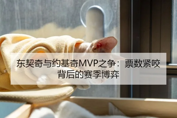 东契奇与约基奇MVP之争：票数紧咬背后的赛季博弈