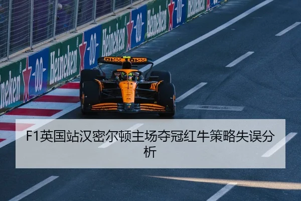 ying-guo-zhan-han-mi-er-dun-zhu-chang-duo-guan-hong-niu-ce-lve-shi-wu-fen-xi-2-301.jpg