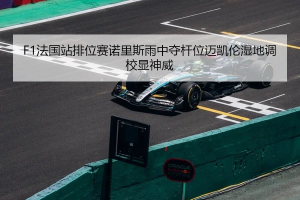 fa-guo-zhan-pai-wei-sai-nuo-li-si-yu-zhong-duo-gan-wei-mai-kai-lun-shi-di-diao-xiao-xian-shen-wei-2-220.jpg