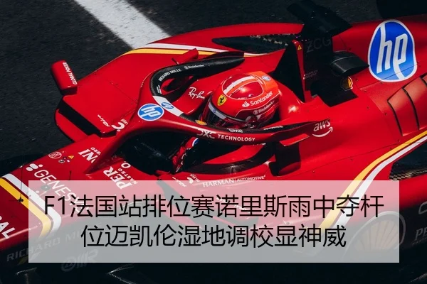 fa-guo-zhan-pai-wei-sai-nuo-li-si-yu-zhong-duo-gan-wei-mai-kai-lun-shi-di-diao-xiao-xian-shen-wei-3-655.jpg