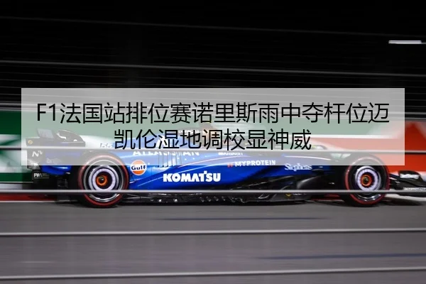 F1法国站排位赛诺里斯雨中夺杆位迈凯伦湿地调校显神威