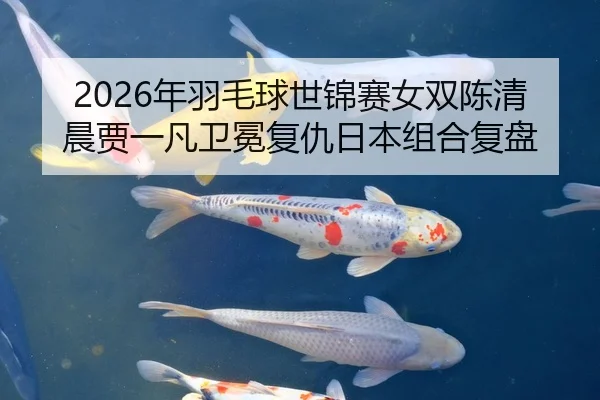 2026年羽毛球世锦赛女双陈清晨贾一凡卫冕复仇日本组合复盘