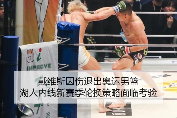 戴维斯因伤退出奥运男篮 湖人内线新赛季轮换策略面临考验